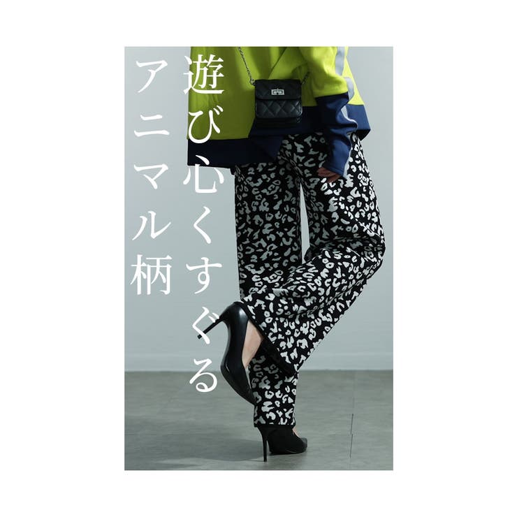 キリッとした粋な着こなしレオパード柄ニットパンツ レディース