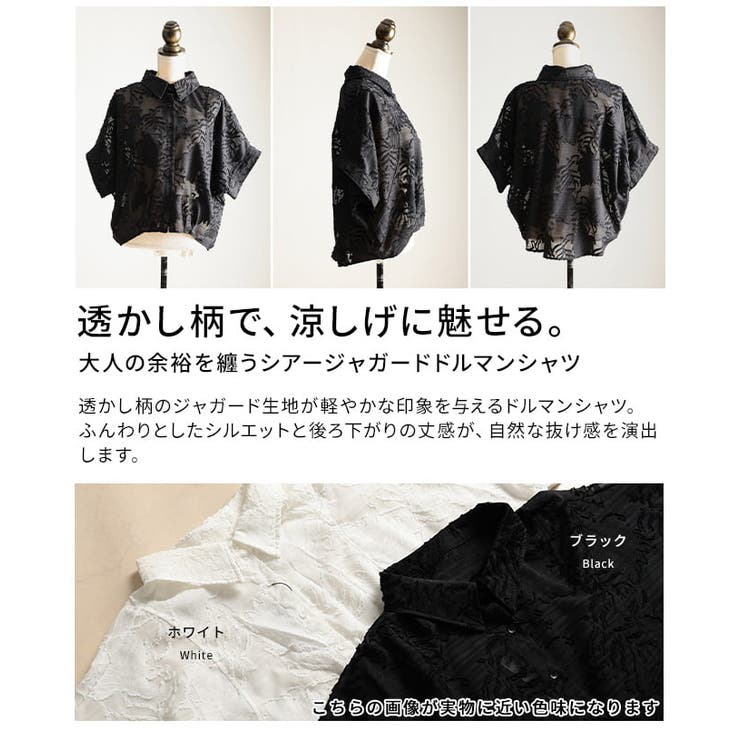 大人の余裕を纏うシアージャガードドルマンシャツ レディース トップス | Sawa a la mode | 詳細画像3 