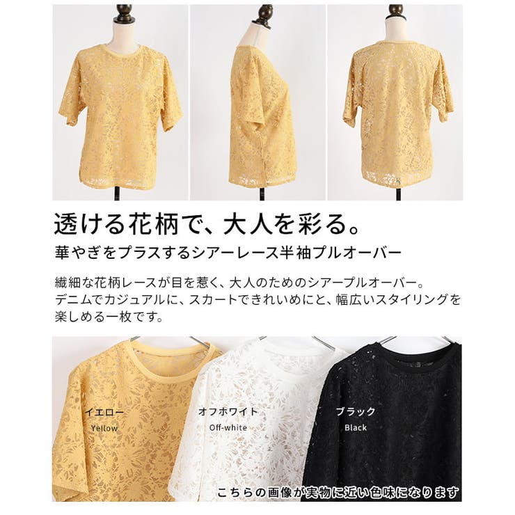 華やぎをプラスするシアーレース半袖プルオーバー レディース トップス | Sawa a la mode | 詳細画像3 