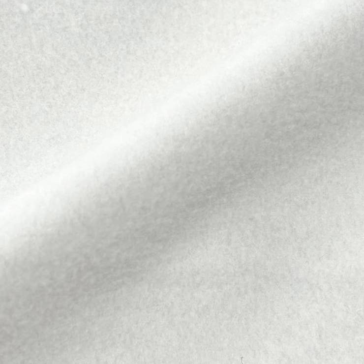 カレッジロゴ裏起毛パーカー | ad thie | 詳細画像13 