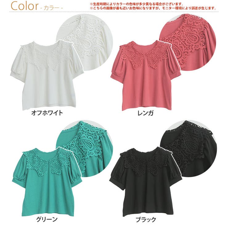※大きいサイズレディーストップス|Rinレース襟リブカットプルオーバー_トップスカットソーLL3L4L5L6L夏夏物夏服夏用ぽっちゃりゆったりリン上品華やか高見えエレガントキレイめおしゃれカジュアルナチュラルプラスサイズ[512442]