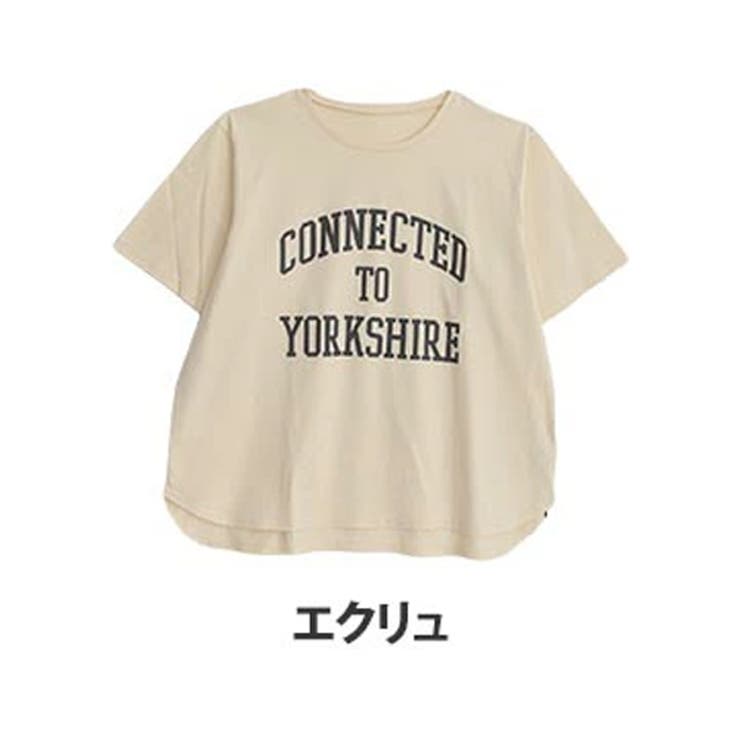 USAコットン180ｇ プリントＴシャツ カレッジver[品番：AH000021779