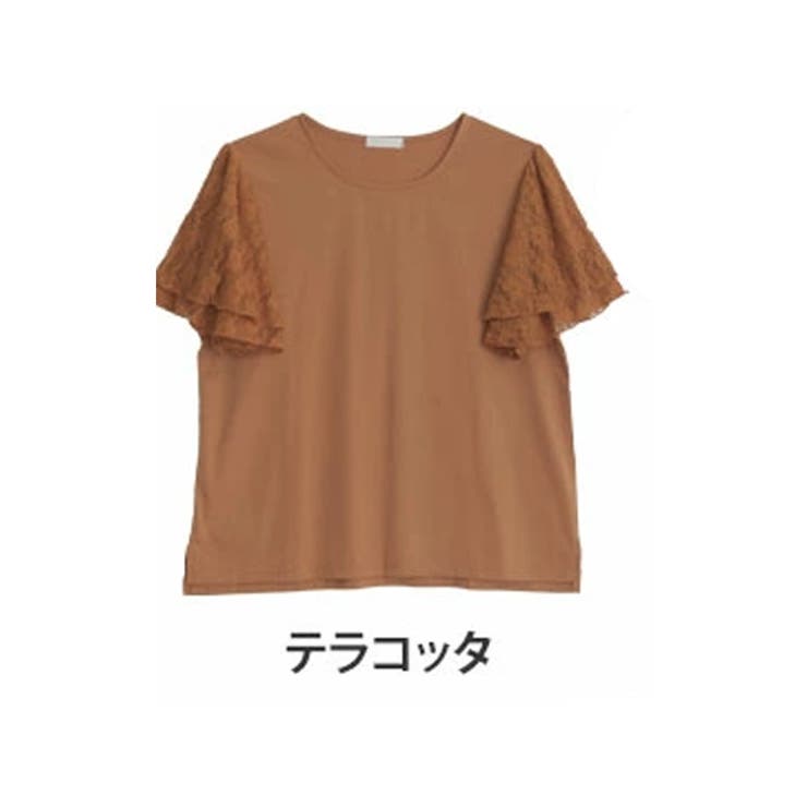 テラコッタ