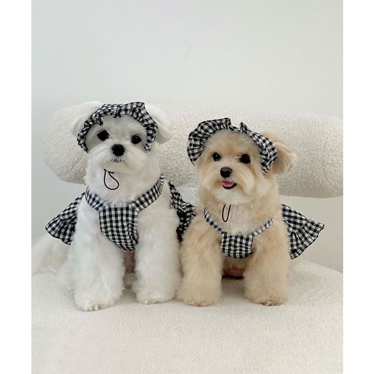 チェック柄ペットウェア | aimoha  | 詳細画像2 