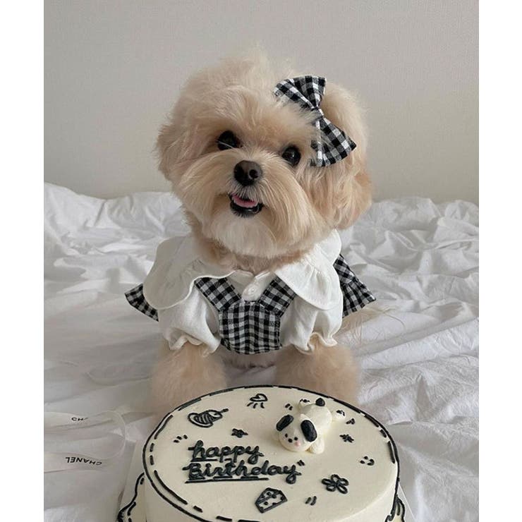 ブラック | チェック柄ペットウェア | aimoha 