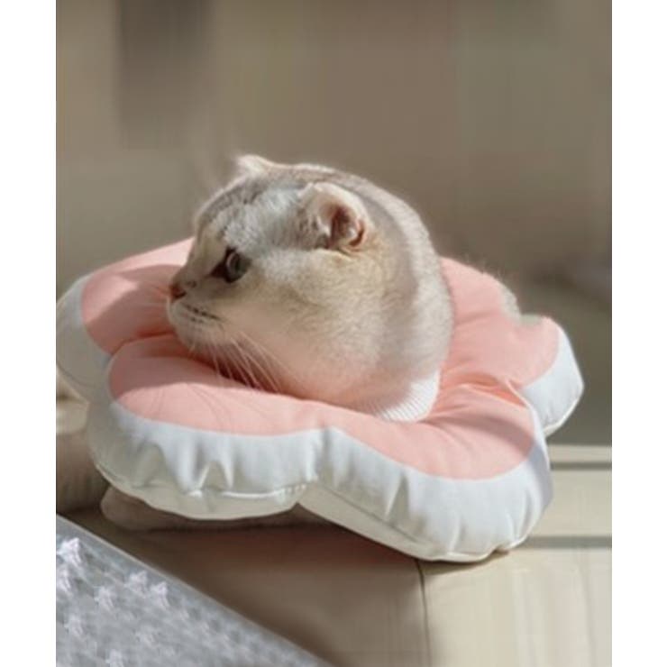 ピンク