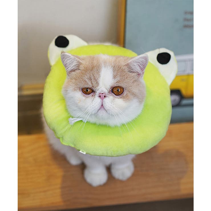 ペット用エリザベスカラー ペット 服 | aimoha  | 詳細画像3 