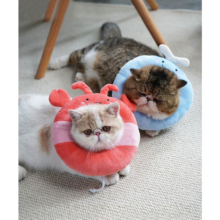 ペット用エリザベスカラー ペット 服 | aimoha  | 詳細画像4 