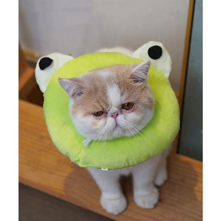 グリーン | ペット用エリザベスカラー ペット 服 | aimoha 