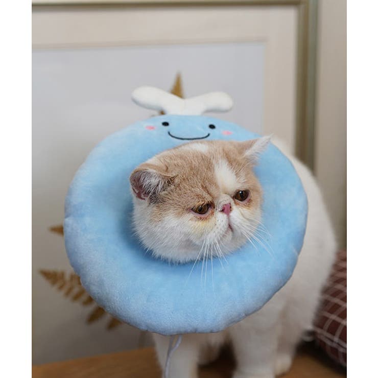 ブルー | ペット用エリザベスカラー ペット 服 | aimoha 