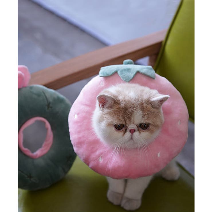 ピンク | ペット用エリザベスカラー ペット 服 | aimoha 