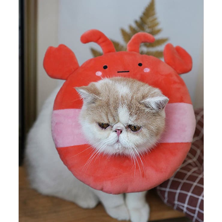 レッド | ペット用エリザベスカラー ペット 服 | aimoha 