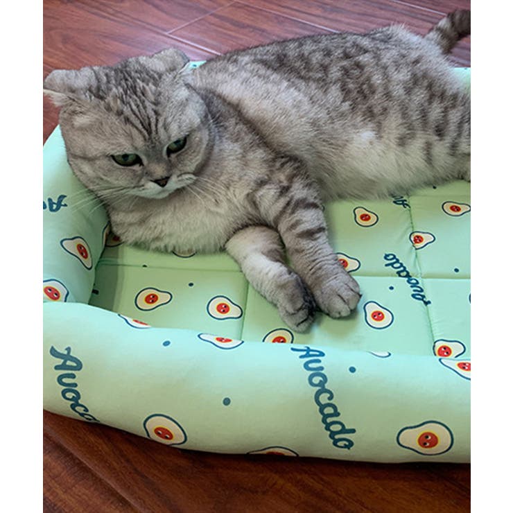 接触冷感 ペットマット【SS】 | aimoha  | 詳細画像14 