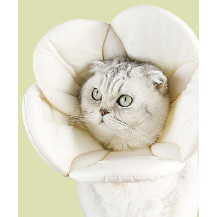 ホワイト | ペット用フェイスガードフラワー | aimoha 