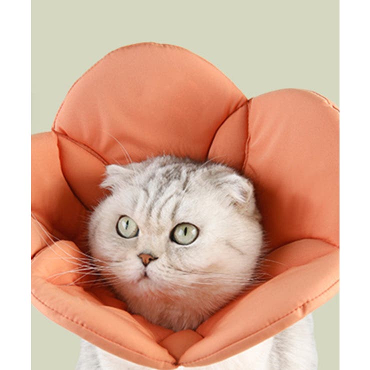 オレンジ | ペット用フェイスガードフラワー | aimoha 