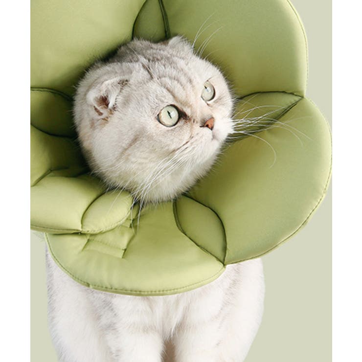 グリーン | ペット用フェイスガードフラワー | aimoha 