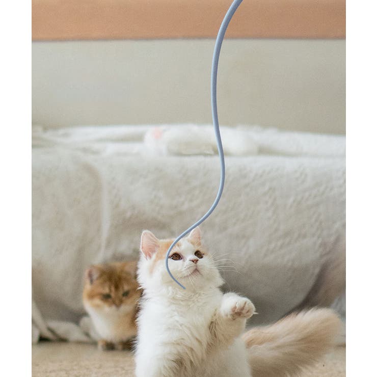 しなやか猫じゃらし | aimoha  | 詳細画像13 
