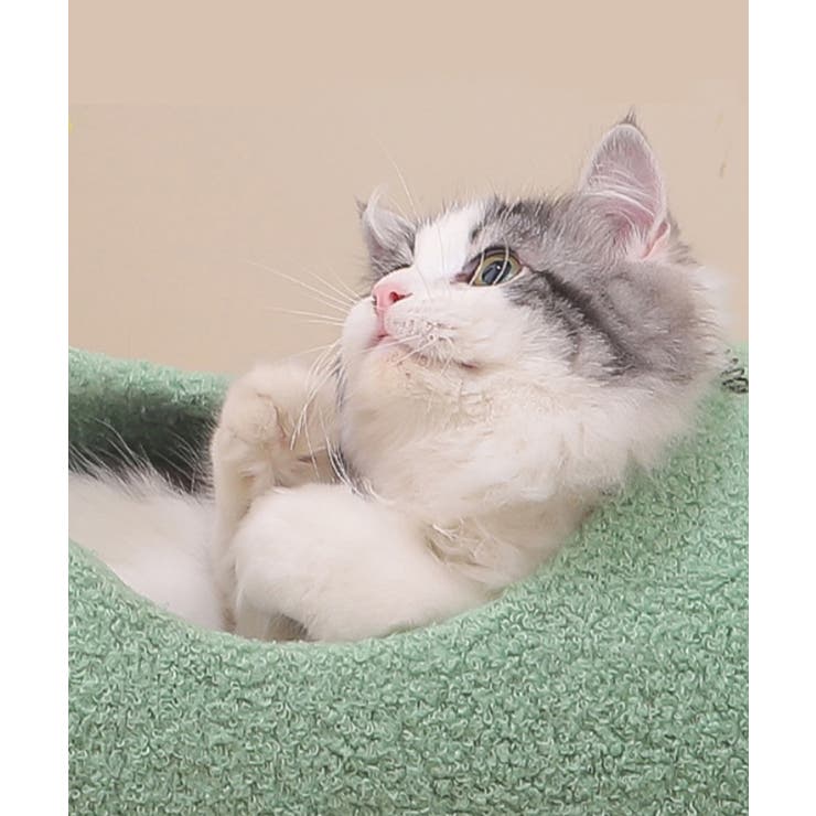 動物形キャットタワー猫用おもちゃ 韓国ファッション ペット 品番 Xt Aimoha アイモハ のファッション通販 Shoplist ショップリスト