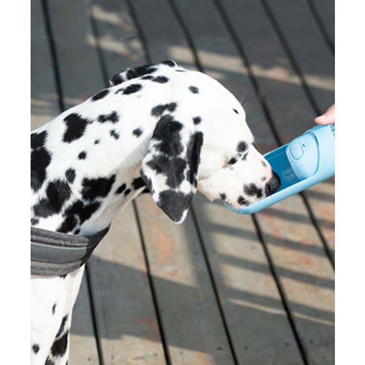アウトドア携帯 犬用水コップ犬 水飲み[品番：XT000005004]｜aimoha （アイモハ）のファッション通販｜SHOPLIST（ショップリスト）