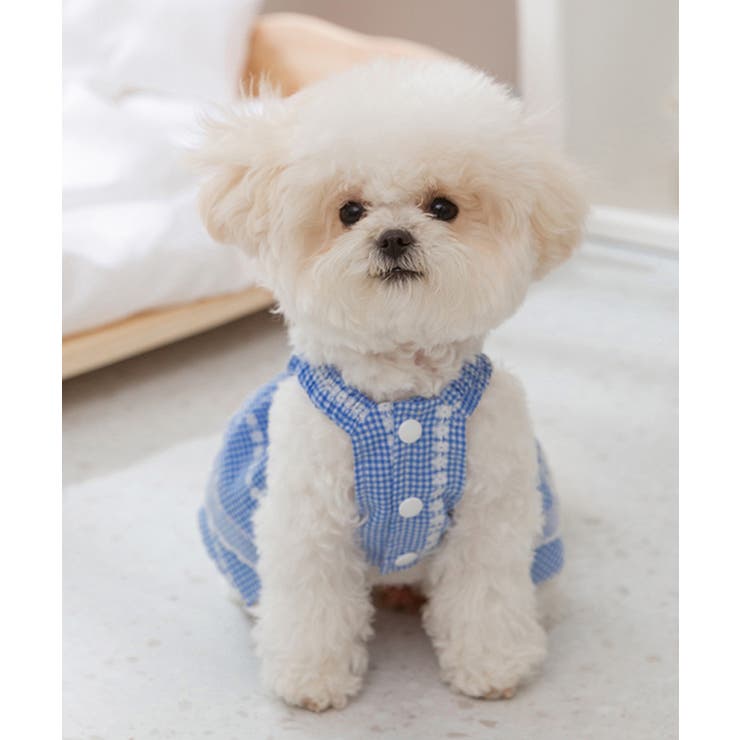 ブルー | ペットウェア | aimoha 