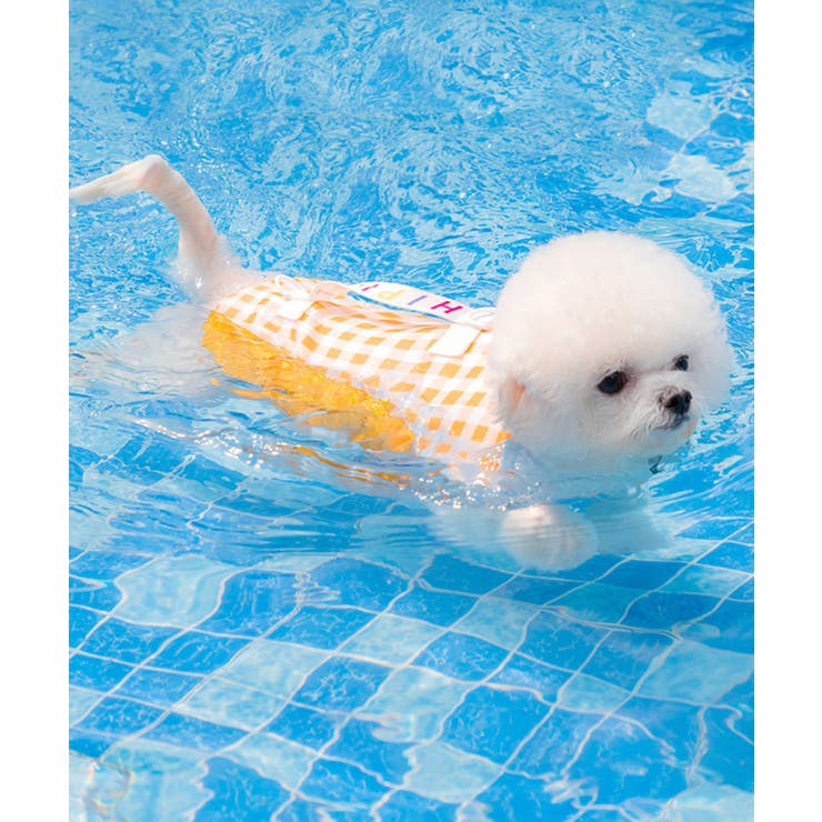 イエロー | 強浮力 犬用ライフベスト【SS】 | aimoha 
