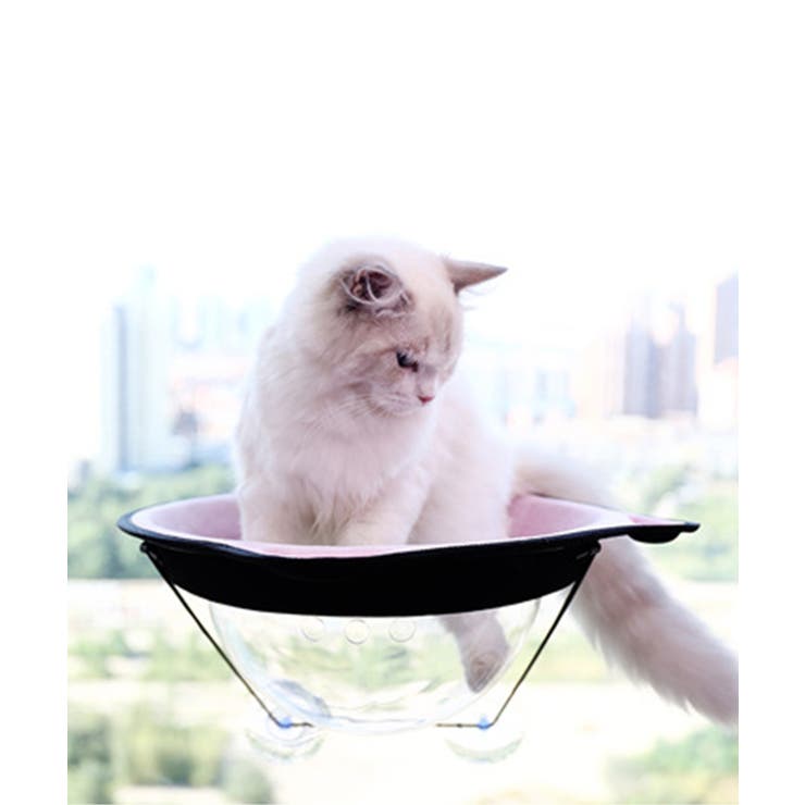 猫用ウィンドウベッド ペット キャット ドッグ 猫犬 ペッドベッド  | aimoha  | 詳細画像6 