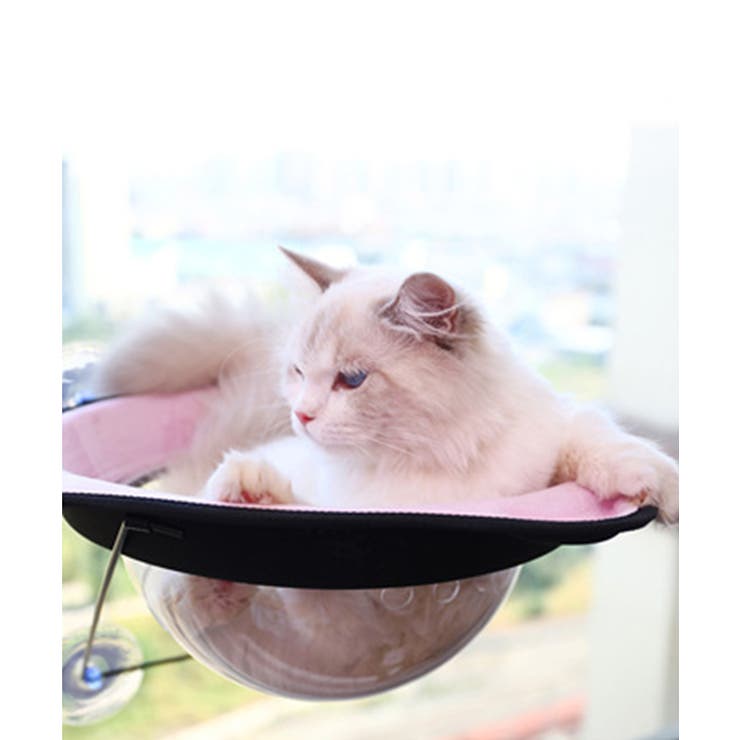 猫用ウィンドウベッド ペット キャット ドッグ 猫犬 ペッドベッド  | aimoha  | 詳細画像7 