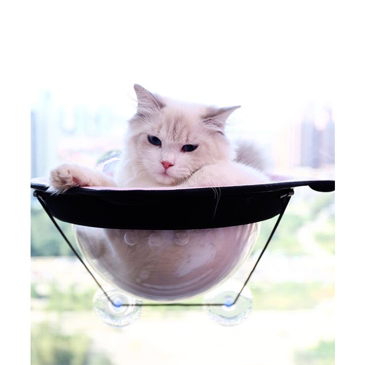 猫用ウィンドウベッド ペット キャット ドッグ 猫犬 ペッドベッド  | aimoha  | 詳細画像9 