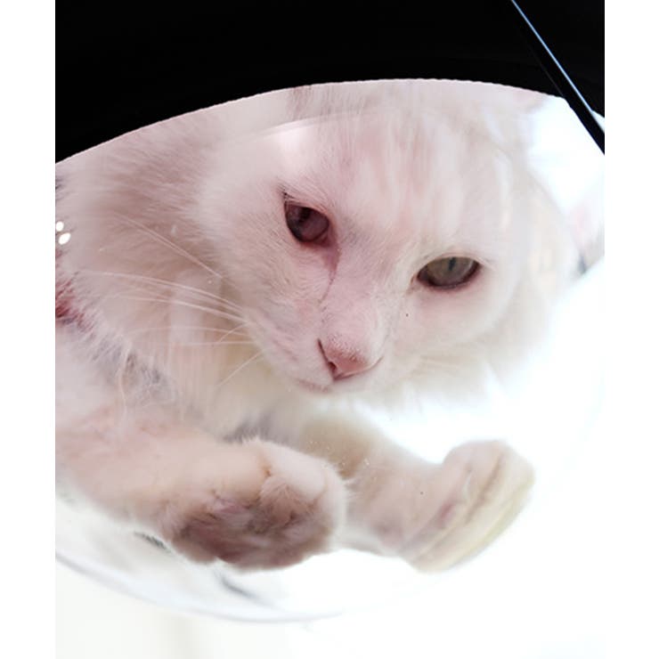 猫用ウィンドウベッド ペット キャット ドッグ 猫犬 ペッドベッド  | aimoha  | 詳細画像11 