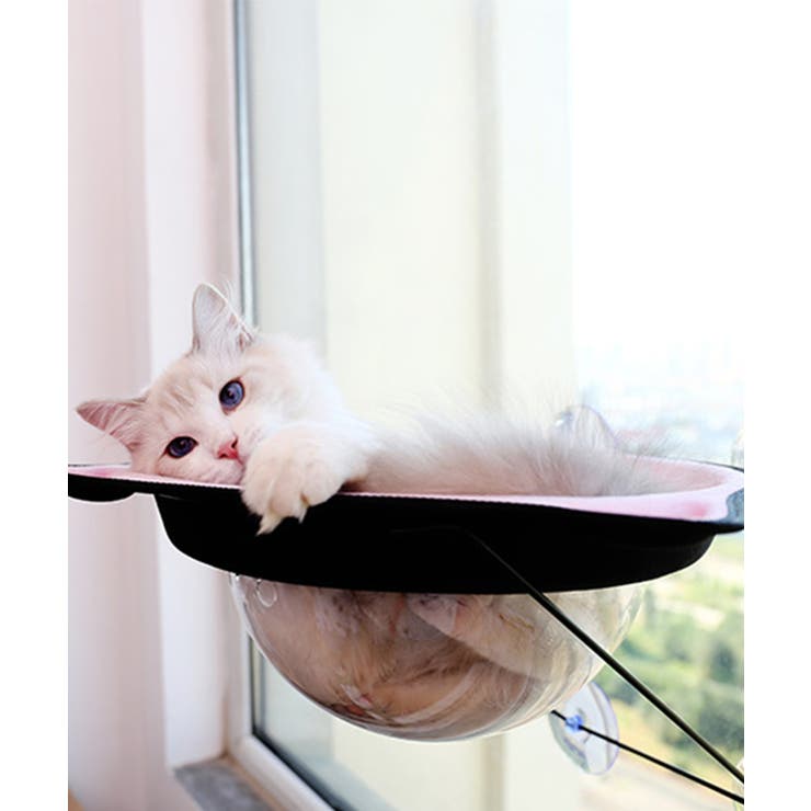 猫用ウィンドウベッド ペット キャット ドッグ 猫犬 ペッドベッド  | aimoha  | 詳細画像13 