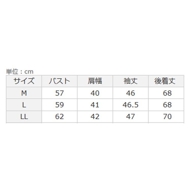 Ｖ切替レースデザインブラウス | Viola e Viola | 詳細画像6 