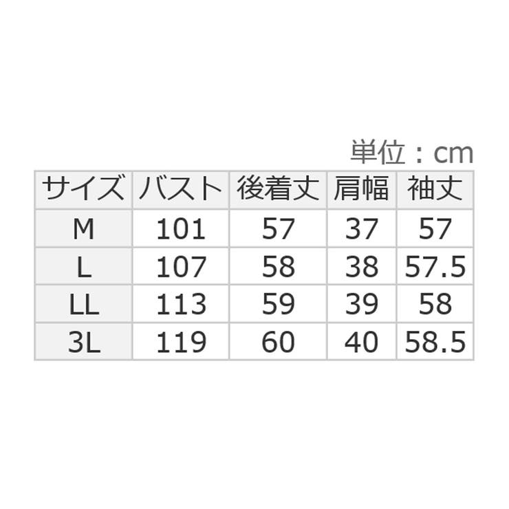 袖２ＷＡＹビジュー釦衿タックブラウス   | alotta | 詳細画像25 