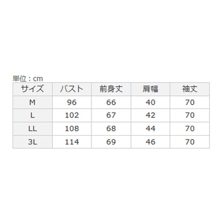 程よい透け感大人シアー素材切替トップス  | Viola e Viola | 詳細画像27 