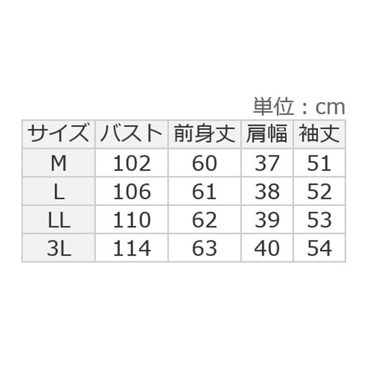 ネックパールデザインブラウス       | alotta | 詳細画像19 