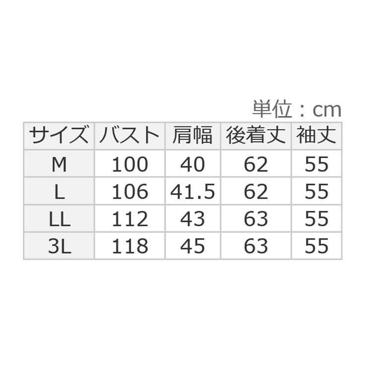 裾フレア裏地付きシフォンブラウス     | Viola e Viola | 詳細画像25 