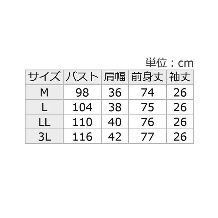 なめらか上品カットソー配色切替Ａラインチ | Viola e Viola | 詳細画像31 