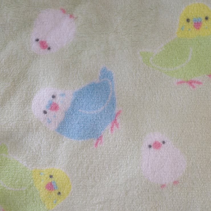 111(インコ) | 裏ボア付き ひざ掛け | AmiAmi