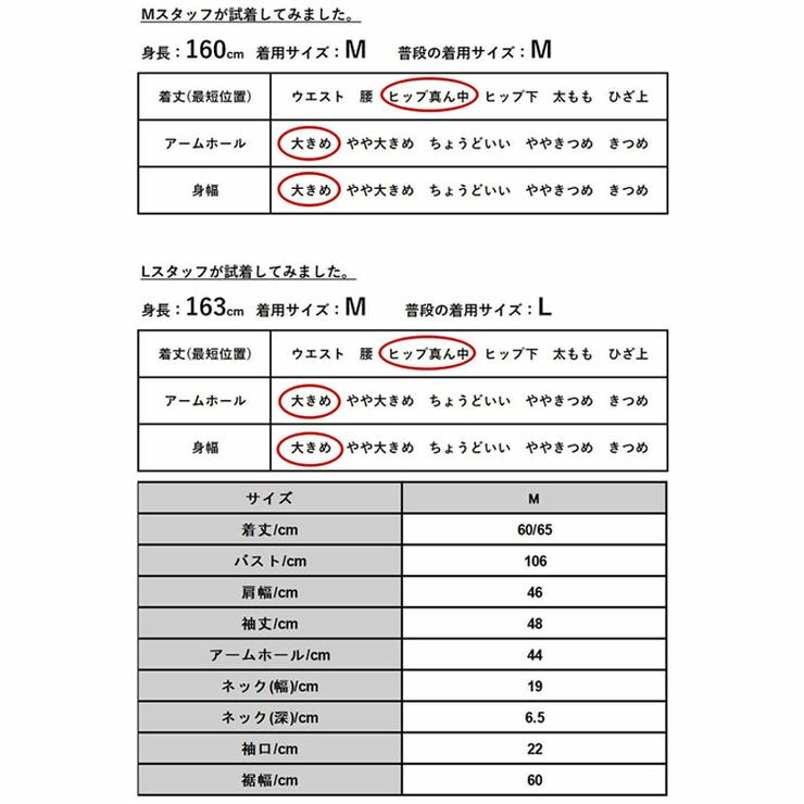 スパンブロードボリュームスリーブシャツ シャツ レディース | and it  | 詳細画像3 