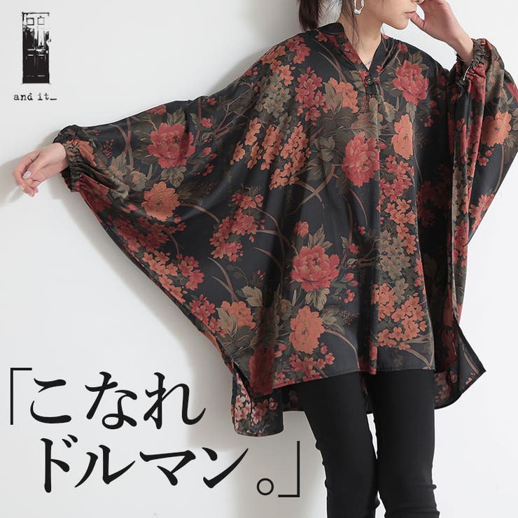 バンドカラースキッパー花柄プリントドルマンブラウス ブラウス レディース | and it  | 詳細画像1 