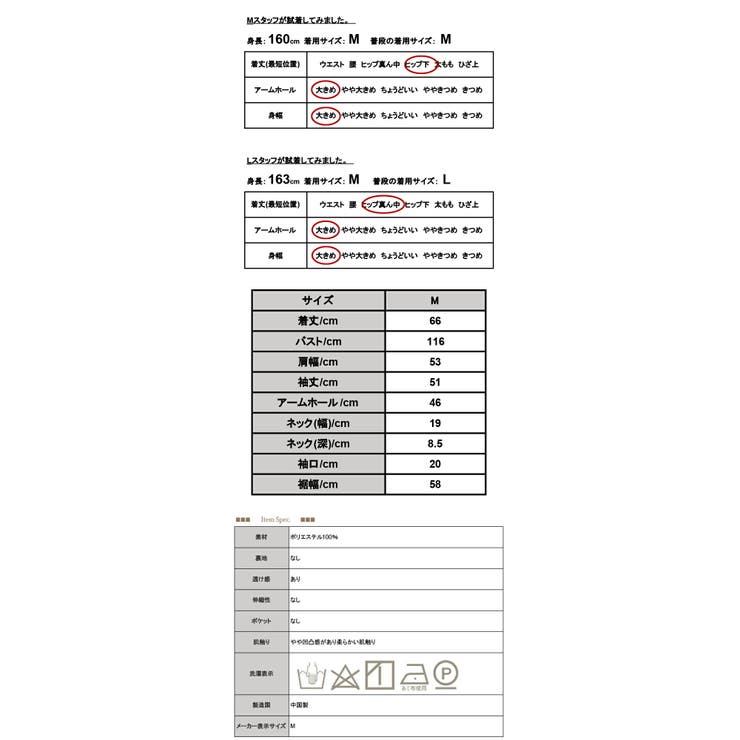 シアー素材バンドカラーブラウス ブラウス レディース | and it  | 詳細画像3 