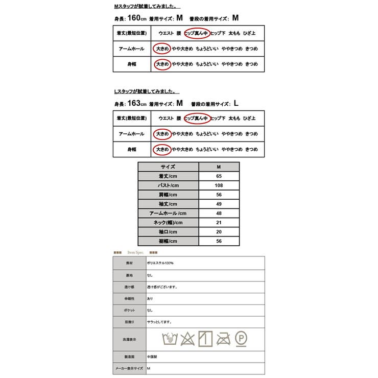 トップス レディース ボリュームスリーブシアートップス | and it  | 詳細画像3 
