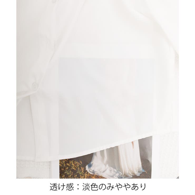 短丈シャツ ベーシック襟付き きれいめ長袖 | SUNSHINE CLOSET | 詳細画像24 