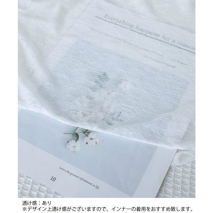 シアートップス 透け感 韓国風カジュアル | SUNSHINE CLOSET | 詳細画像15 