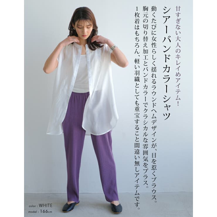 写真4
