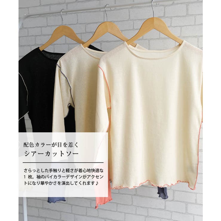 配色シアーカットソー 春 秋 M レディース | aquagarage | 詳細画像2 