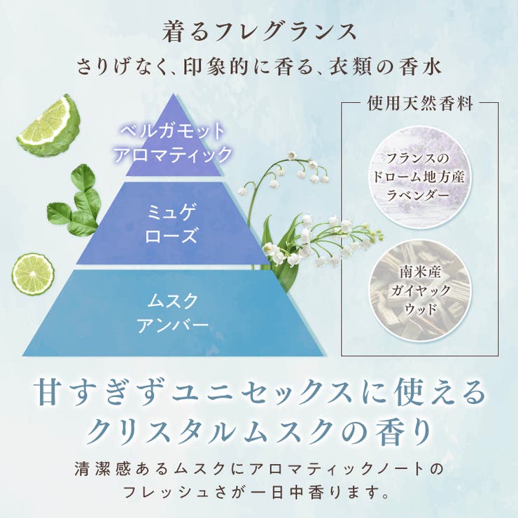 FA ファインフレグランス 本体 570ML | Shoplimart＃ | 詳細画像2 