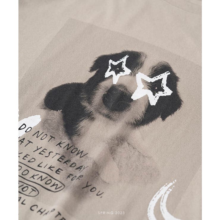 ワンちゃんプリントコットンTシャツ 24066 プリントTシャツ | ARGO TOKYO | 詳細画像29 