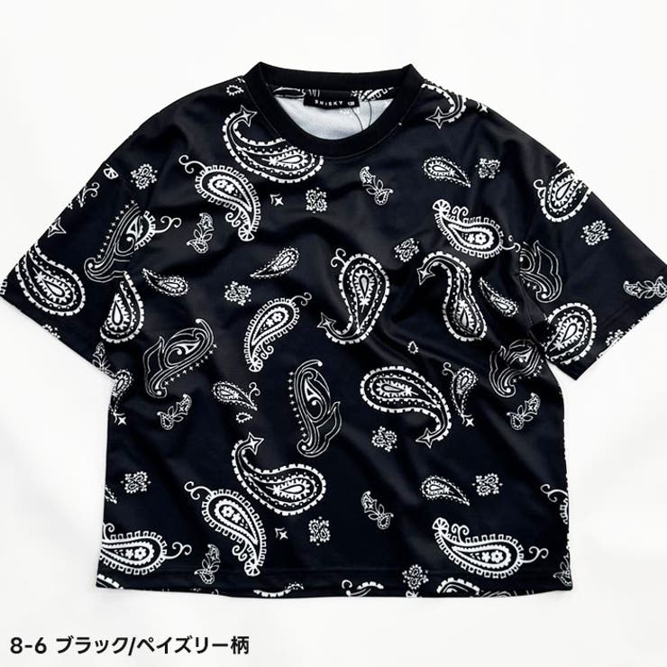 DRYメッシュ BIG T | NEXT WALL | 詳細画像17 