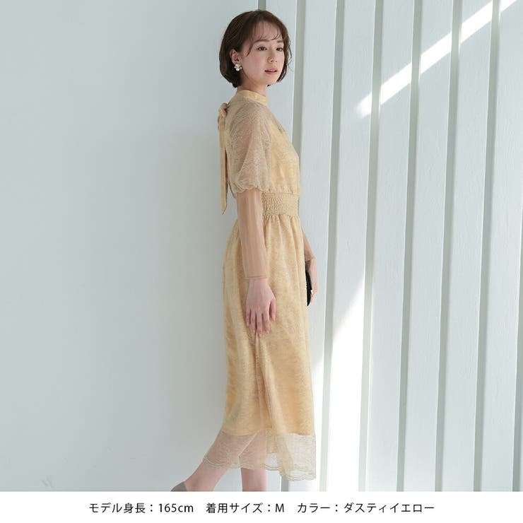 バルーンロングスリーブ総レースドレス シャーリング チュール | AUNI | 詳細画像2 