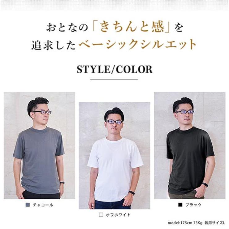 サスティ Tシャツ メンズ シーアイランドコットン SASTY 291233